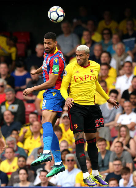 fo在展示 fo在展示