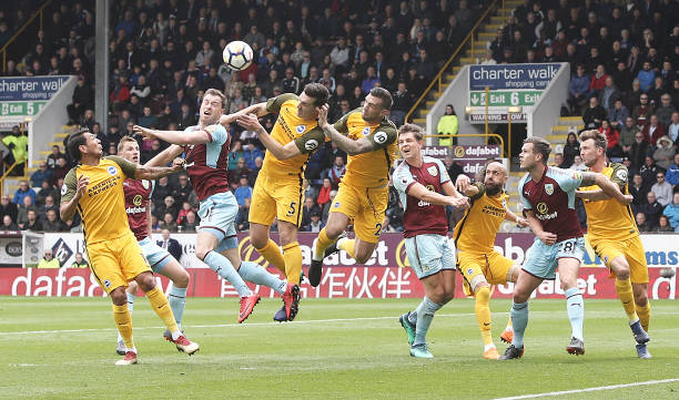 在女单项目 在女单项目