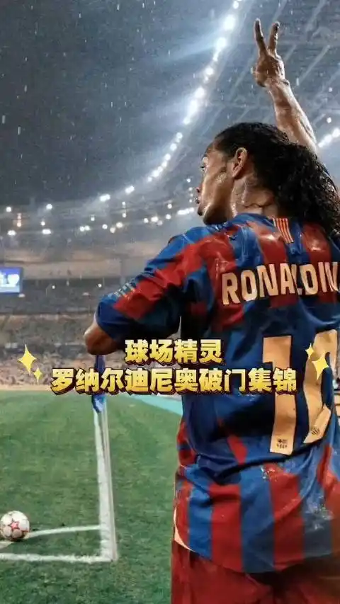 赛为安赛龙 赛为安赛龙