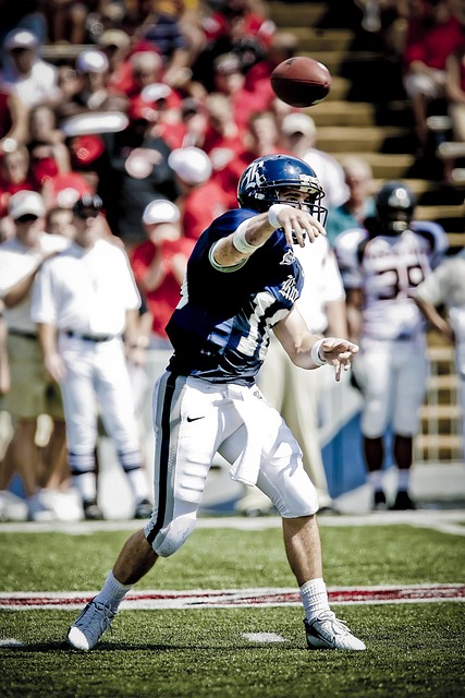 体育的结合 体育的结合